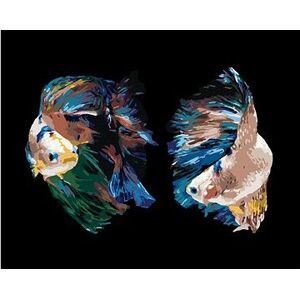 Dve ryby bojovnice, 40 × 50 cm, bez rámu a bez napnutia plátna