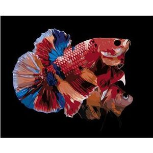 Dve sfarbené rybky, 40 × 50 cm, bez rámu a bez napnutia plátna