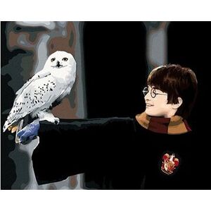 Harry Potter s Hedvigou na ruke, 40 × 50 cm, plátno napnuté na rám