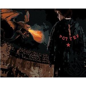 Harry Potter v aréne s drakom, 40×50 cm, bez rámu a bez vypnutia plátna