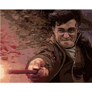 Harry Potter v súboji s Voldemortom, 40×50 cm, vypnuté plátno na rám