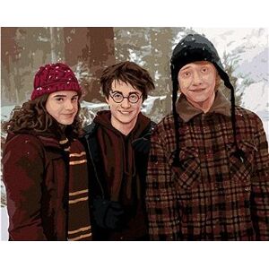 Harry Potter, Hermiona a Ron v zasneženej krajine, 40×50 cm, vypnuté plátno na rám