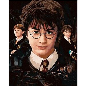 Harry Potter, Hermiona a Ron, 40×50 cm, bez rámu a bez vypnutia plátna