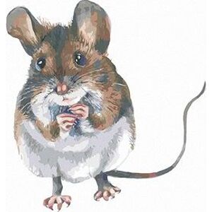 Hnedá myška, 40 × 50 cm, bez rámu a bez napnutia plátna