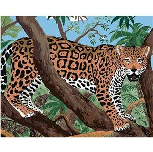 Jaguár na konári, 40 × 50 cm, bez rámu a bez napnutia plátna