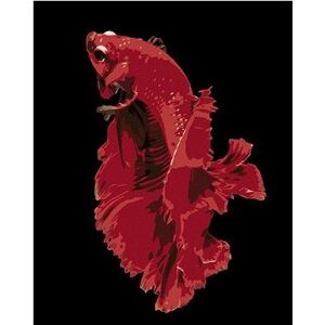 Krásna červená rybka, 40 × 50 cm, plátno napnuté na rám