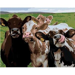 Krava a jej kamaráti, 80 × 100 cm, bez rámu a bez vypnutia plátna
