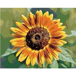 Kvet slnečnice, 40 × 50 cm, bez rámu a bez napnutia plátna
