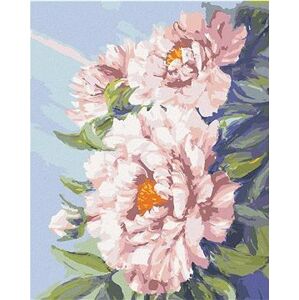 Kvety ružovej pivonky, 40 × 50 cm, bez rámu a bez napnutia plátna