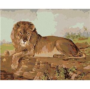 Lev na savane, 40×50 cm, bez rámu a bez vypnutia plátna