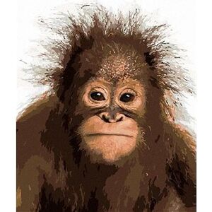 Mladý orangutan, 40×50 cm, bez rámu a bez vypnutia plátna