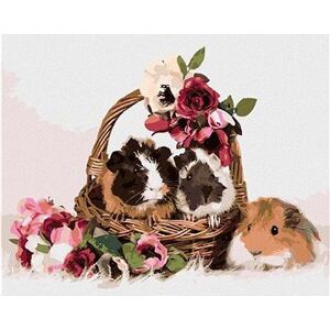 Morčatá v košíku s kvetinami, 40×50 cm, bez rámu a bez vypnutia plátna