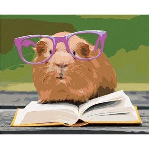 Morča v okuliaroch číta knižku, 80 × 100 cm, plátno napnuté na rám