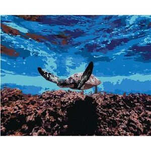 Morská korytnačka pod hladinou, 80×100 cm, bez rámu a bez vypnutia plátna