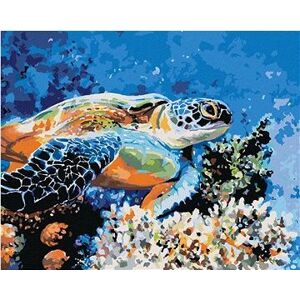 Morská korytnačka, 40×50 cm, bez rámu a bez vypnutia plátna