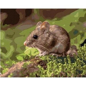Myška spočívajúca v lese, 40×50 cm, bez rámu a bez vypnutia plátna