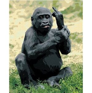 Naštvaná gorila, 40×50 cm, bez rámu a bez vypnutia plátna