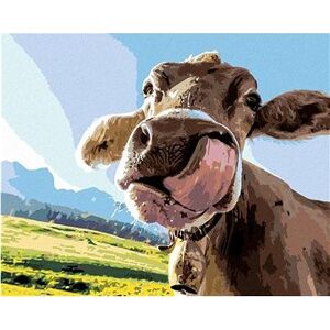 Olizujúca sa krava, 80×100 cm, vypnuté plátno na rám