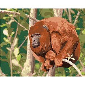 Opica Mantled odpočívajúca na strome, 80×100 cm, bez rámu a bez vypnutia plátna