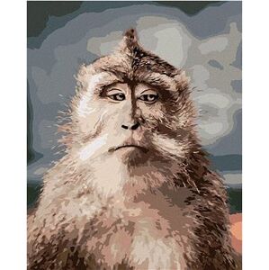 Opica s vážnou tvárou, 40×50 cm, bez rámu a bez vypnutia plátna