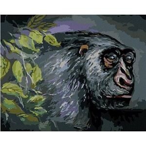 Opica, 40×50 cm, vypnuté plátno na rám