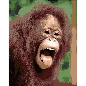 Orangutan s otvorenou papuľou, 40×50 cm, bez rámu a bez vypnutia plátna