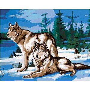 Pár vlkov pri lese, 40×50 cm, vypnuté plátno na rám