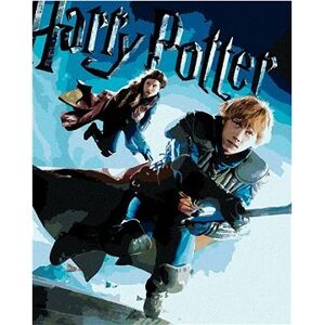 Plagát Harry Potter a princ dvojakej krvi Ron a Ginny, 40×50 cm, bez rámu a bez vypnutia plátna