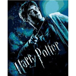 Plagát Harry Potter a princ dvojakej krvi, 40×50 cm, bez rámu a bez vypnutia plátna