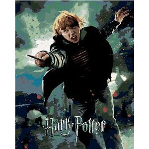 Plagát Harry Potter a relikvia smrti Ron, 40 × 50 cm, plátno napnuté na rám