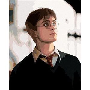 Portrét Harry Potter, 40×50 cm, bez rámu a bez vypnutia plátna