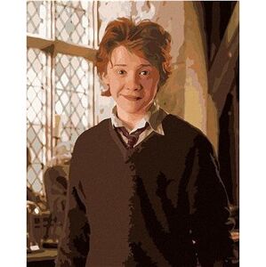 Ron v učebni (Harry Potter), 40×50 cm, vypnuté plátno na rám