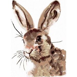 Roztomilý králik, 40×50 cm, bez rámu a bez vypnutia plátna
