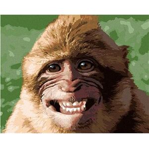 Smejúca sa opica, 40 × 50 cm, bez rámu a bez napnutia plátna