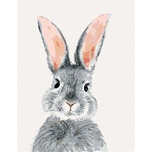 Sivý králik, 40 × 50 cm, plátno napnuté na rám