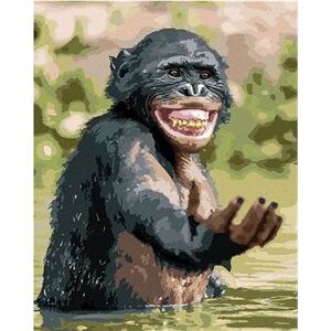 Šťastný šimpanz, 80 × 100 cm, bez rámu a bez napnutia plátna