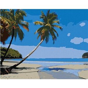 Tropická pláž v Karibiku, 40×50 cm, bez rámu a bez vypnutia plátna