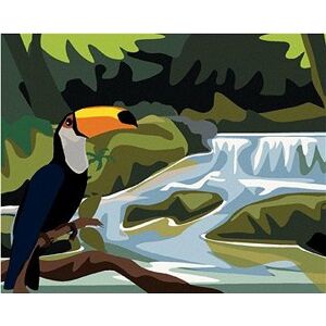 Tukan s vodopádom, 80 × 100 cm, plátno napnuté na rám