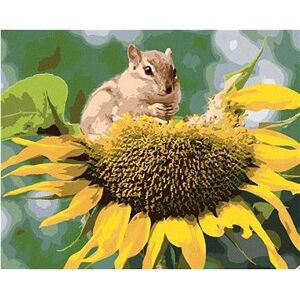Veverička pri slnečnici, 80 × 100 cm, bez rámu a bez napnutia plátna
