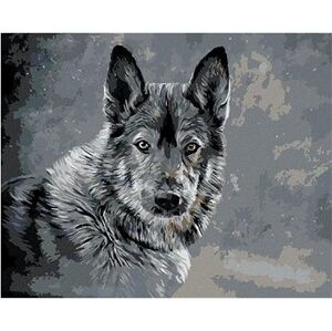 Vlk na sivom pozadí, 40×50 cm, bez rámu a bez vypnutia plátna