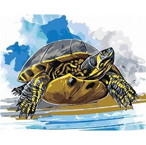 Vodná korytnačka, 40 × 50 cm, bez rámu a bez vypnutia plátna