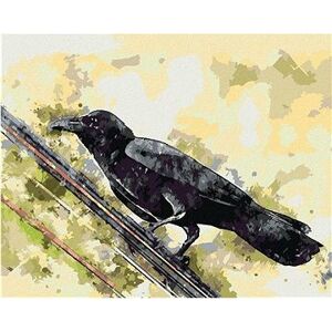 Vrana na drôte, 40×50 cm, vypnuté plátno na rám