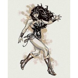 Wonder Woman čiernobiely plagát III, 40×50 cm, bez rámu a bez vypnutia plátna