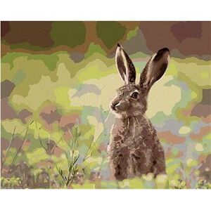 Zajac v tráve, 40×50 cm, bez rámu a bez vypnutia plátna