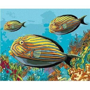 Žlté rybky, 80 × 100 cm, bez rámu a bez napnutia plátna